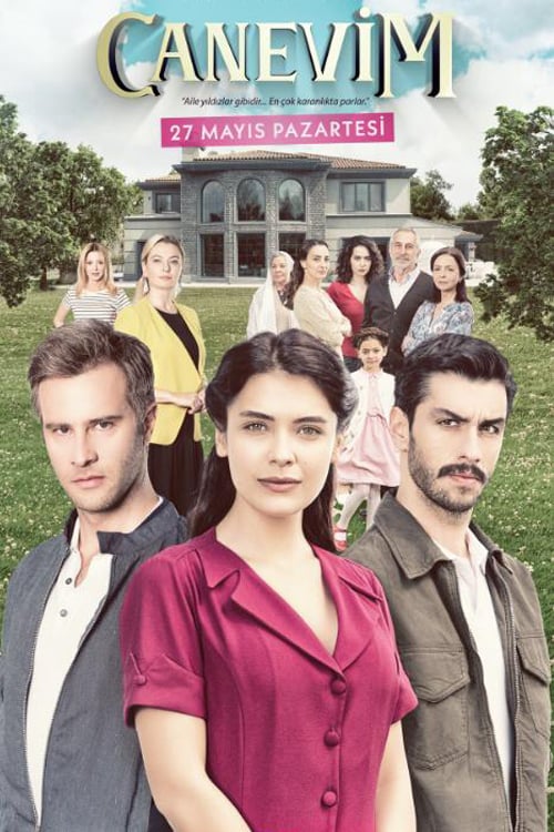 مسلسل قلبي الحلقة 13